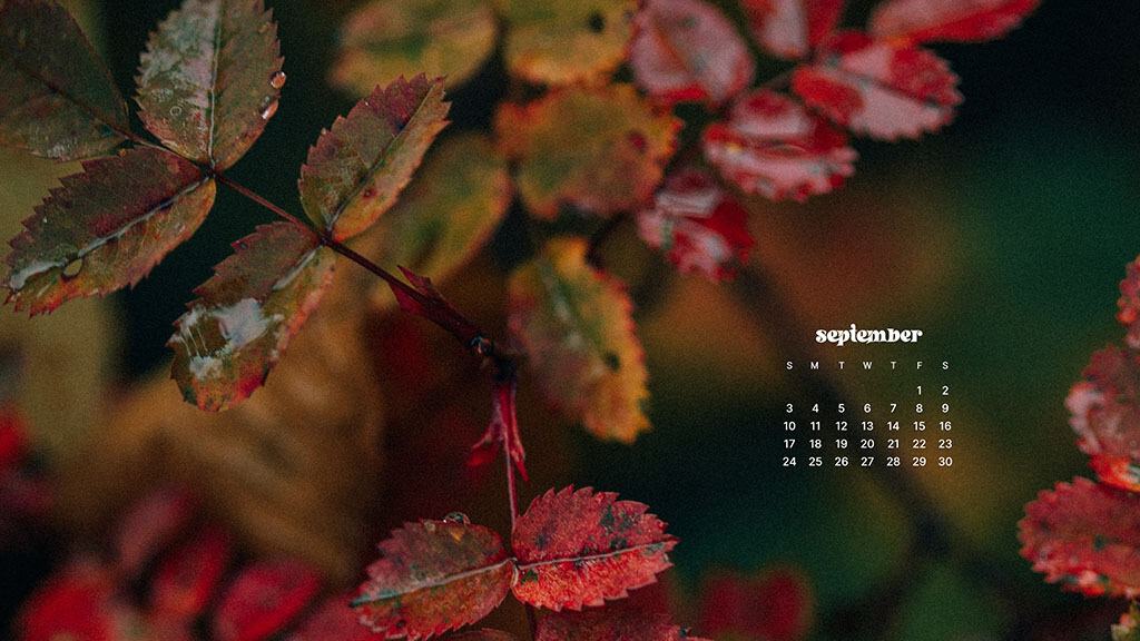 SEPTEMBER 2023 WALLPAPERS – 45 FREE PHONE &#038; DESKTOP CALENDARS!, Oh So Lovely Blog