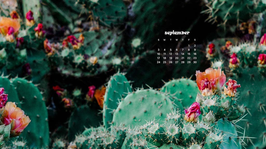 SEPTEMBER 2023 WALLPAPERS – 45 FREE PHONE &#038; DESKTOP CALENDARS!, Oh So Lovely Blog