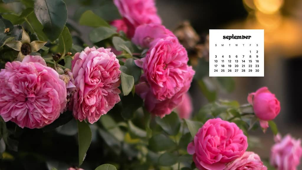 SEPTEMBER 2023 WALLPAPERS – 45 FREE PHONE &#038; DESKTOP CALENDARS!, Oh So Lovely Blog