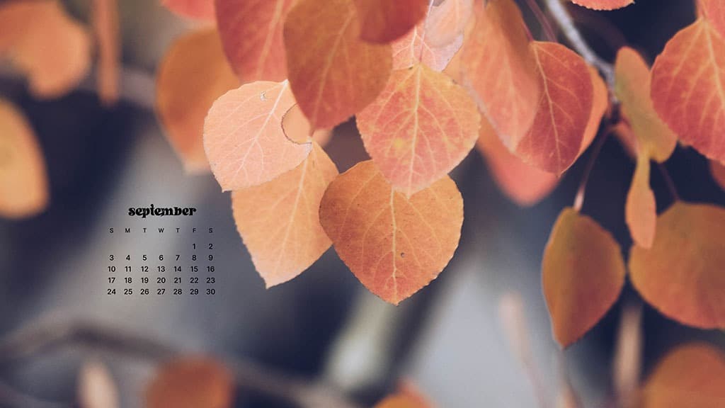 November 2023 wallpapers – 45 FREEBIES for desktop & phones!