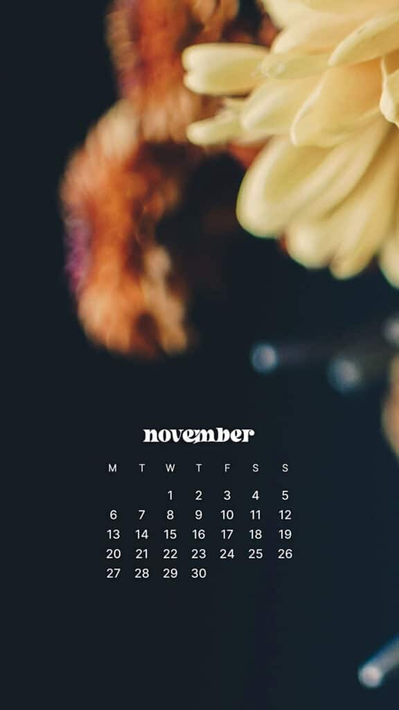 NOVEMBER 2023 WALLPAPERS – 45 FREE PHONE &#038; DESKTOP CALENDARS!, Oh So Lovely Blog