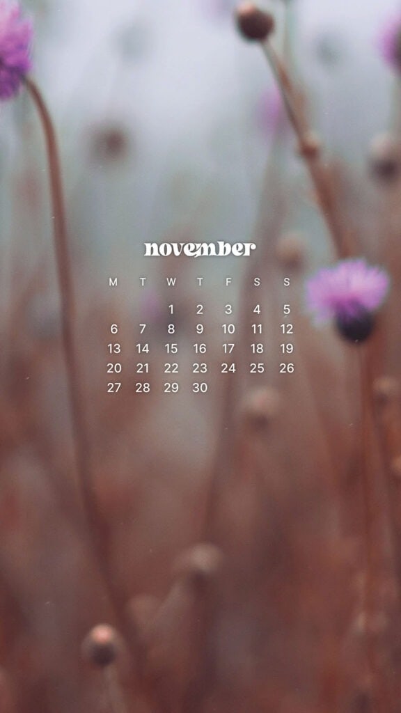 NOVEMBER 2023 WALLPAPERS – 45 FREE PHONE &#038; DESKTOP CALENDARS!, Oh So Lovely Blog