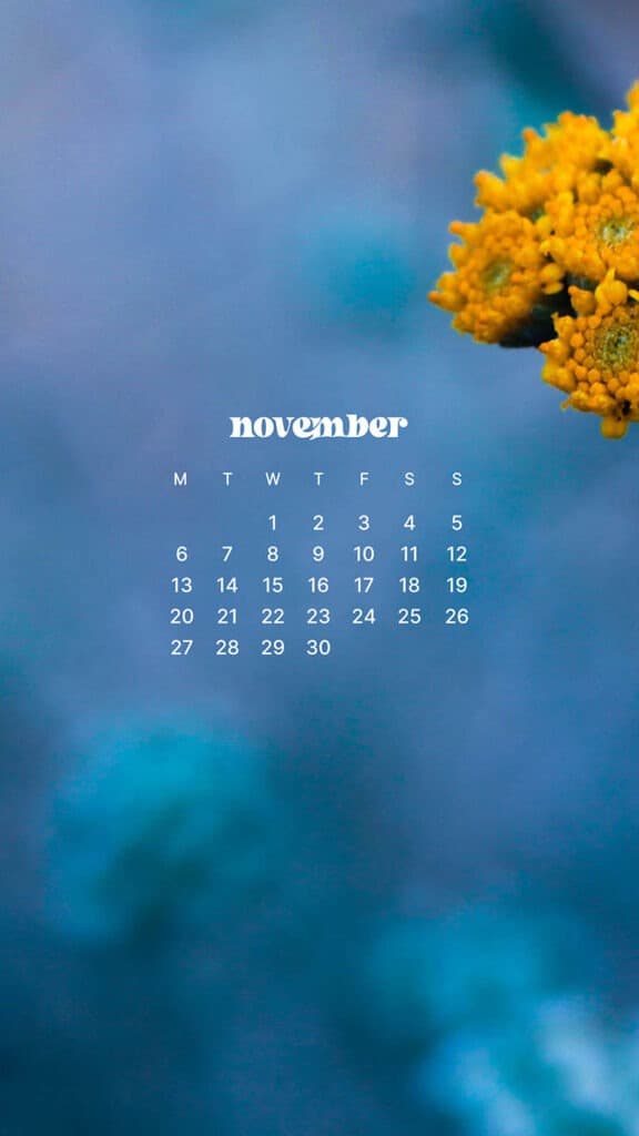 NOVEMBER 2023 WALLPAPERS – 45 FREE PHONE &#038; DESKTOP CALENDARS!, Oh So Lovely Blog