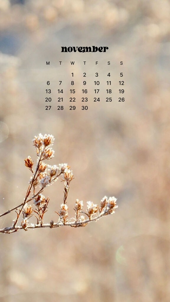 NOVEMBER 2023 WALLPAPERS – 45 FREE PHONE &#038; DESKTOP CALENDARS!, Oh So Lovely Blog