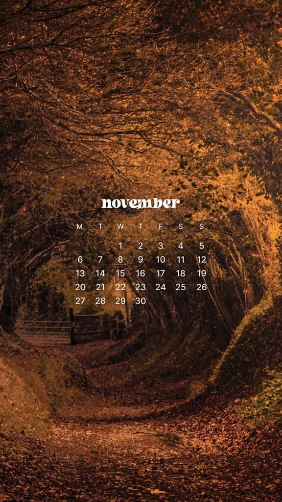 NOVEMBER 2023 WALLPAPERS – 45 FREE PHONE &#038; DESKTOP CALENDARS!, Oh So Lovely Blog