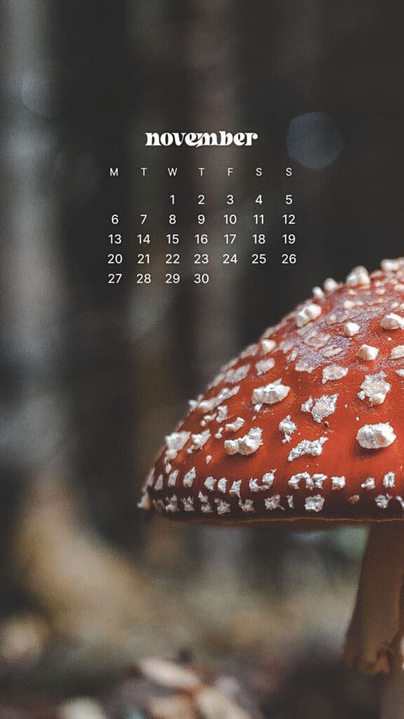 NOVEMBER 2023 WALLPAPERS – 45 FREE PHONE &#038; DESKTOP CALENDARS!, Oh So Lovely Blog