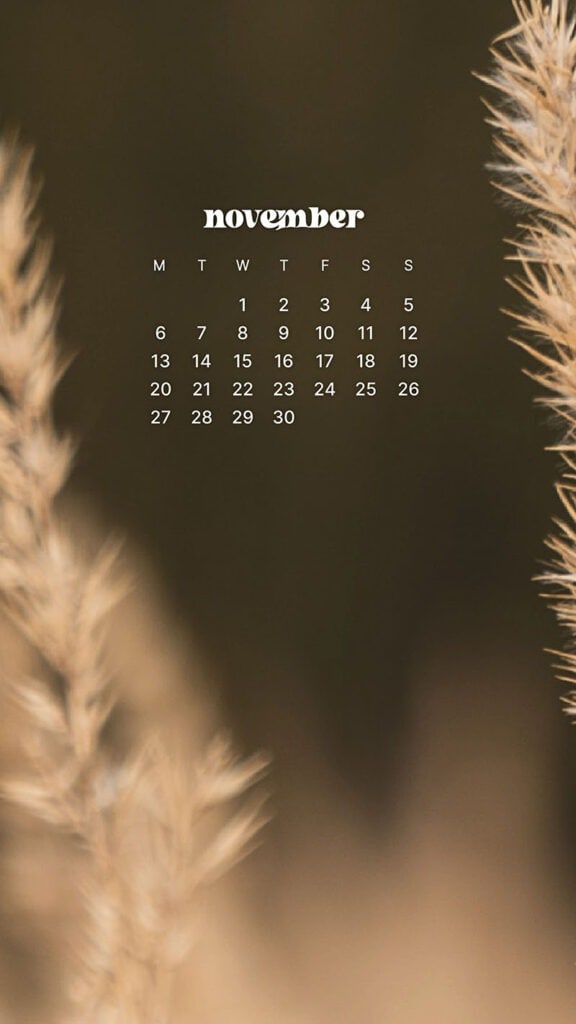 NOVEMBER 2023 WALLPAPERS – 45 FREE PHONE &#038; DESKTOP CALENDARS!, Oh So Lovely Blog