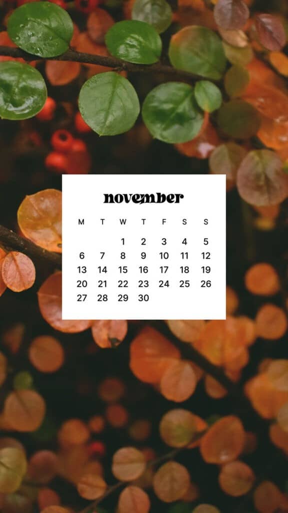 NOVEMBER 2023 WALLPAPERS – 45 FREE PHONE &#038; DESKTOP CALENDARS!, Oh So Lovely Blog