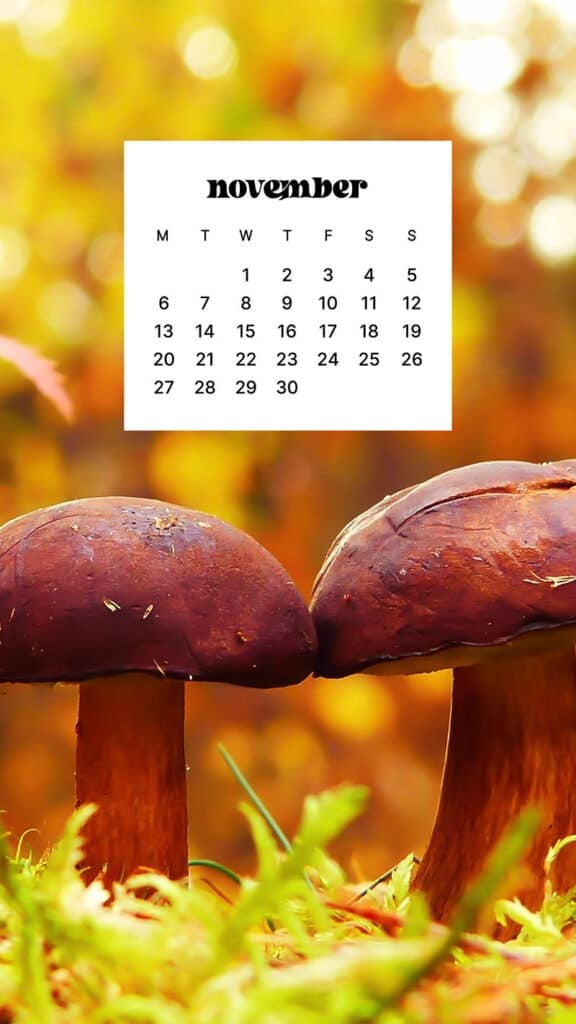 NOVEMBER 2023 WALLPAPERS – 45 FREE PHONE &#038; DESKTOP CALENDARS!, Oh So Lovely Blog