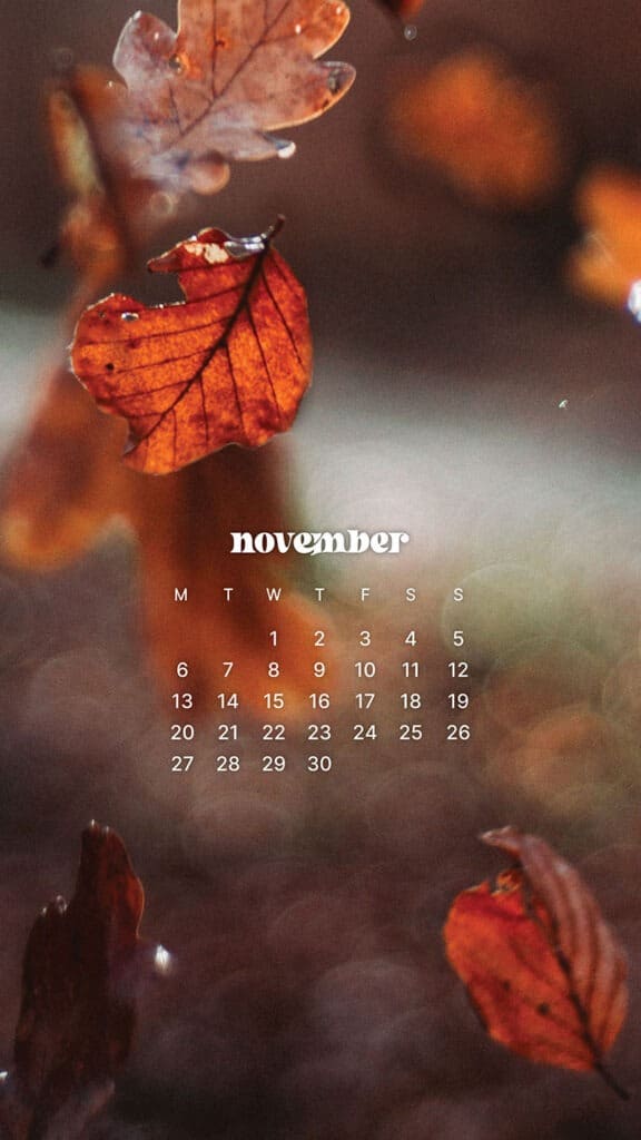 NOVEMBER 2023 WALLPAPERS – 45 FREE PHONE &#038; DESKTOP CALENDARS!, Oh So Lovely Blog