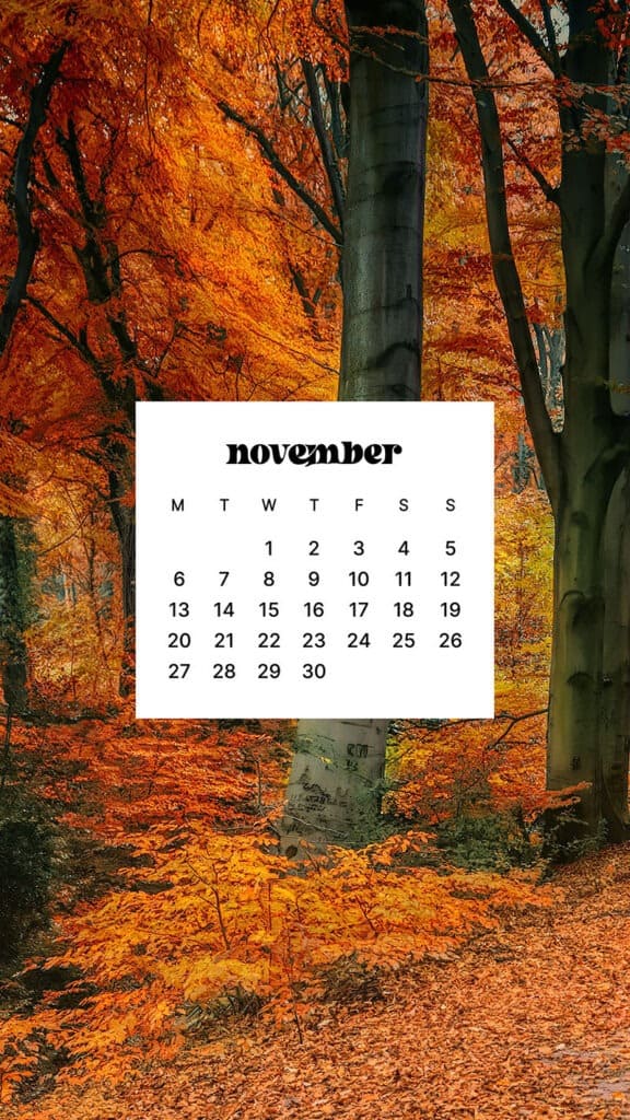 NOVEMBER 2023 WALLPAPERS – 45 FREE PHONE &#038; DESKTOP CALENDARS!, Oh So Lovely Blog