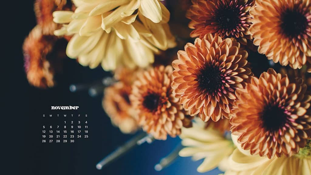 NOVEMBER 2023 WALLPAPERS – 45 FREE PHONE &#038; DESKTOP CALENDARS!, Oh So Lovely Blog