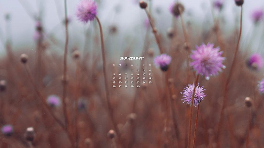 NOVEMBER 2023 WALLPAPERS – 45 FREE PHONE &#038; DESKTOP CALENDARS!, Oh So Lovely Blog