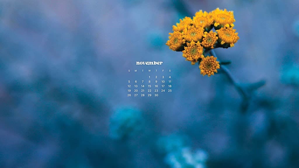 NOVEMBER 2023 WALLPAPERS – 45 FREE PHONE &#038; DESKTOP CALENDARS!, Oh So Lovely Blog