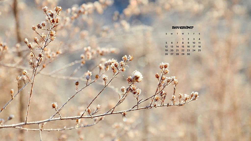 NOVEMBER 2023 WALLPAPERS – 45 FREE PHONE &#038; DESKTOP CALENDARS!, Oh So Lovely Blog