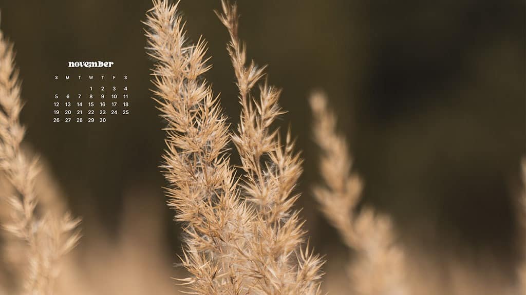 NOVEMBER 2023 WALLPAPERS – 45 FREE PHONE &#038; DESKTOP CALENDARS!, Oh So Lovely Blog