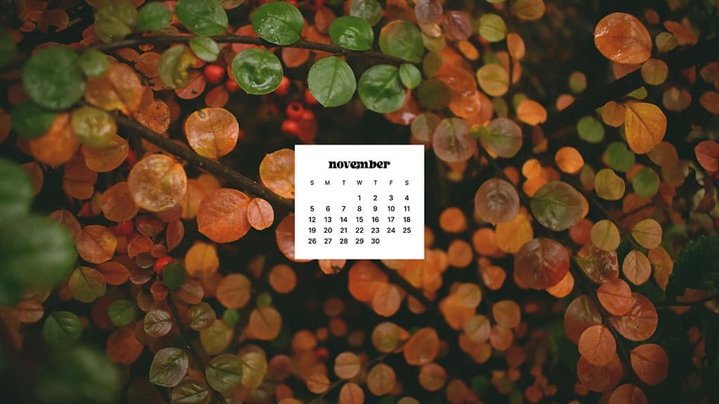 NOVEMBER 2023 WALLPAPERS – 45 FREE PHONE &#038; DESKTOP CALENDARS!, Oh So Lovely Blog