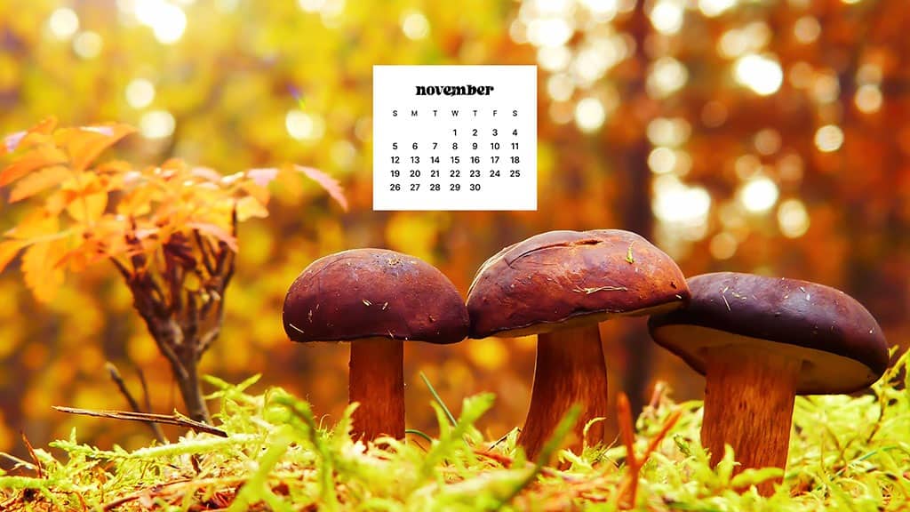 NOVEMBER 2023 WALLPAPERS – 45 FREE PHONE &#038; DESKTOP CALENDARS!, Oh So Lovely Blog