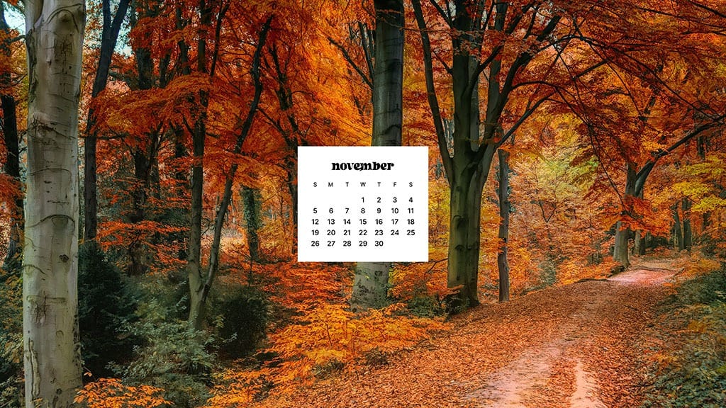 NOVEMBER 2023 WALLPAPERS – 45 FREE PHONE &#038; DESKTOP CALENDARS!, Oh So Lovely Blog