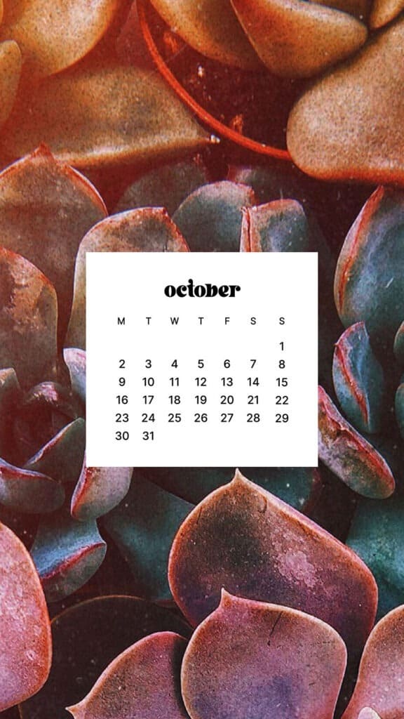 OCTOBER 2023 WALLPAPERS – 50 FREE PHONE &#038; DESKTOP CALENDARS!, Oh So Lovely Blog