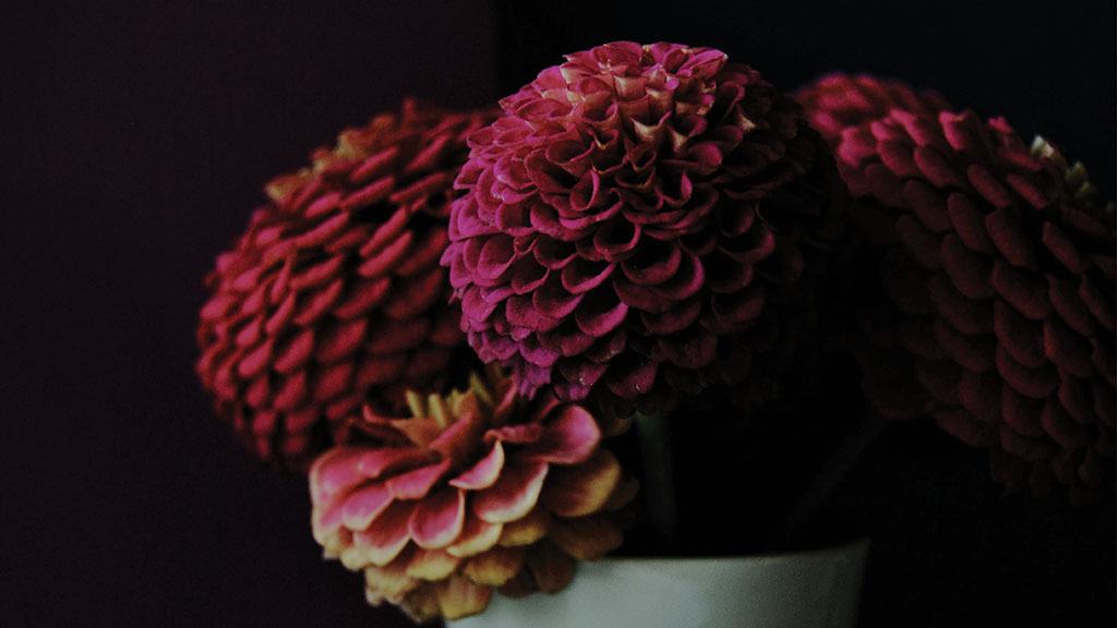 OCTOBER 2023 WALLPAPERS – 50 FREE PHONE &#038; DESKTOP CALENDARS!, Oh So Lovely Blog