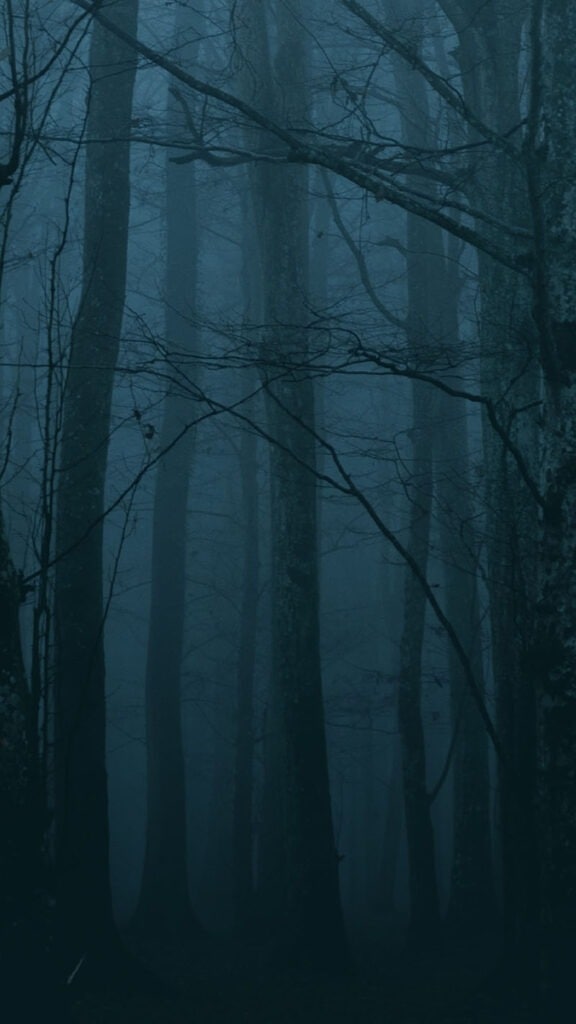 OCTOBER 2023 WALLPAPERS – 50 FREE PHONE &#038; DESKTOP CALENDARS!, Oh So Lovely Blog