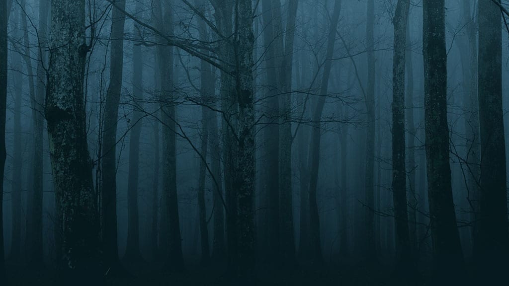 OCTOBER 2023 WALLPAPERS – 50 FREE PHONE &#038; DESKTOP CALENDARS!, Oh So Lovely Blog