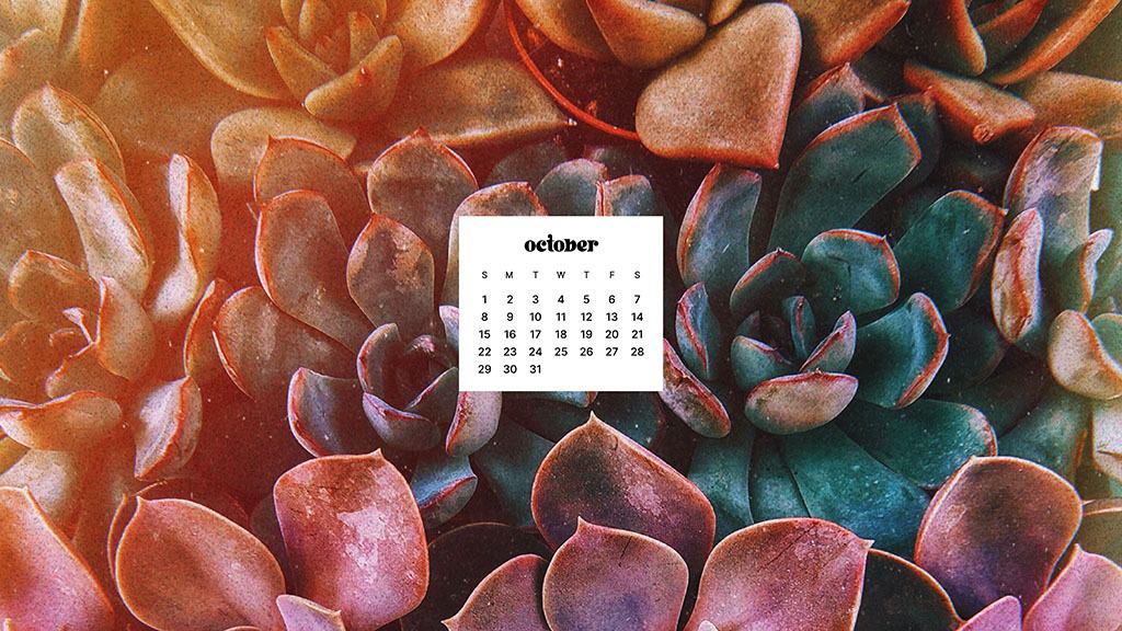 OCTOBER 2023 WALLPAPERS – 50 FREE PHONE &#038; DESKTOP CALENDARS!, Oh So Lovely Blog