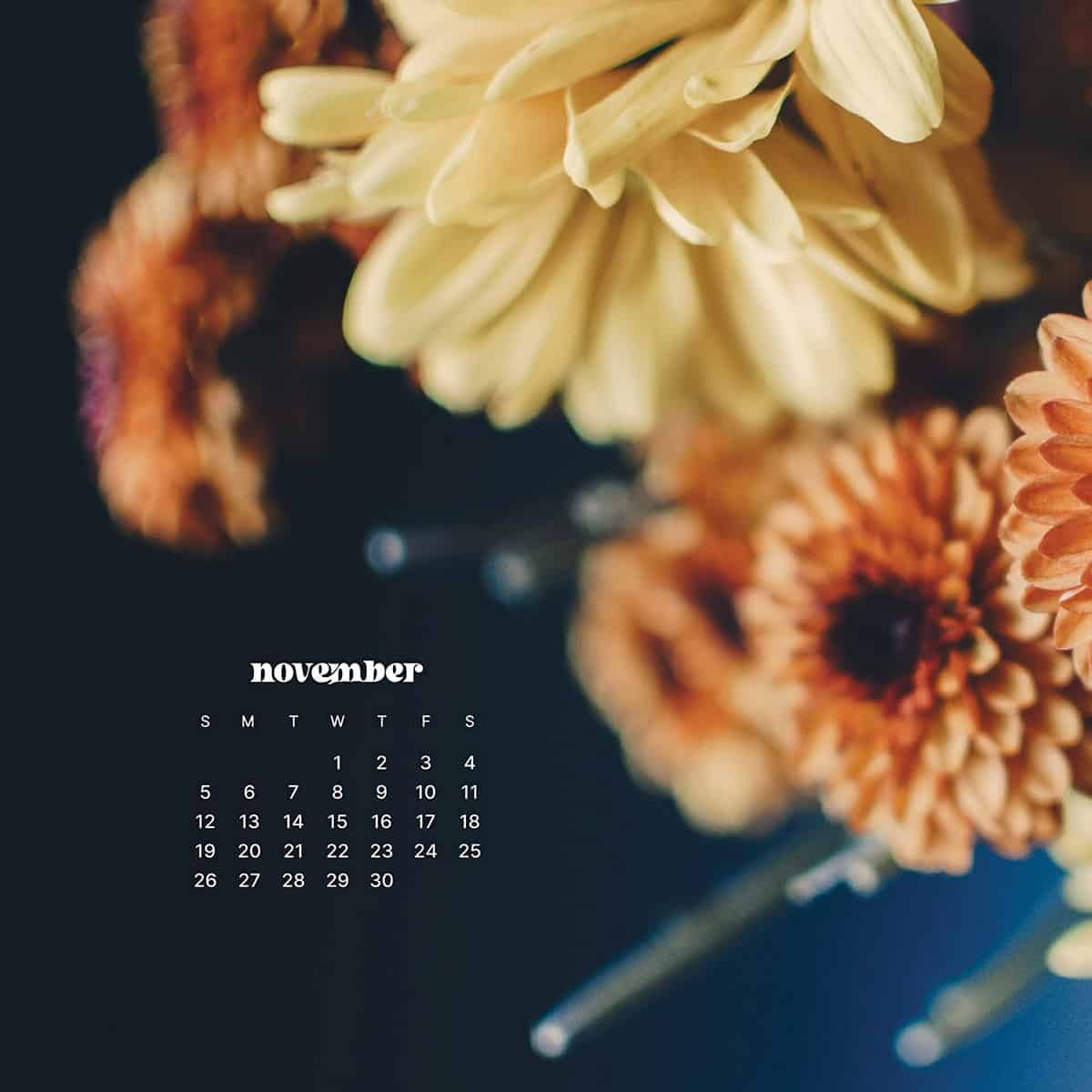 November 2023 wallpapers 45 FREEBIES for desktop & phones!