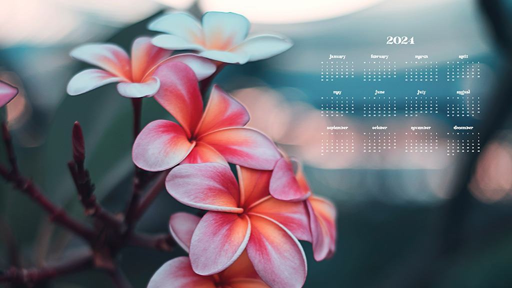 2024 DESKTOP WALLPAPERS – 100 FREE &#038; LOVELY OPTIONS!, Oh So Lovely Blog