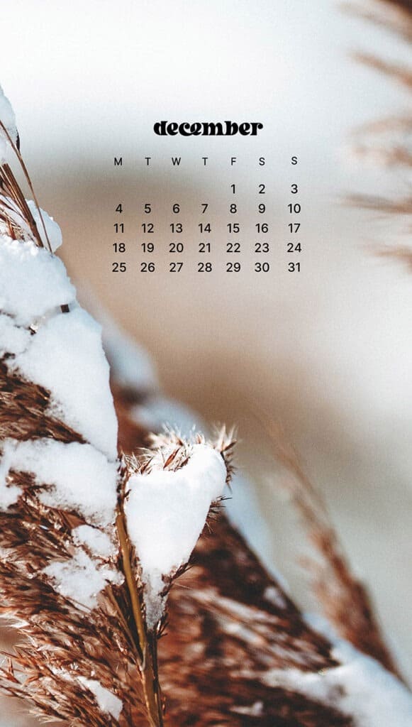 DECEMBER 2023 WALLPAPERS – 96 FREE PHONE &#038; DESKTOP CALENDARS!, Oh So Lovely Blog