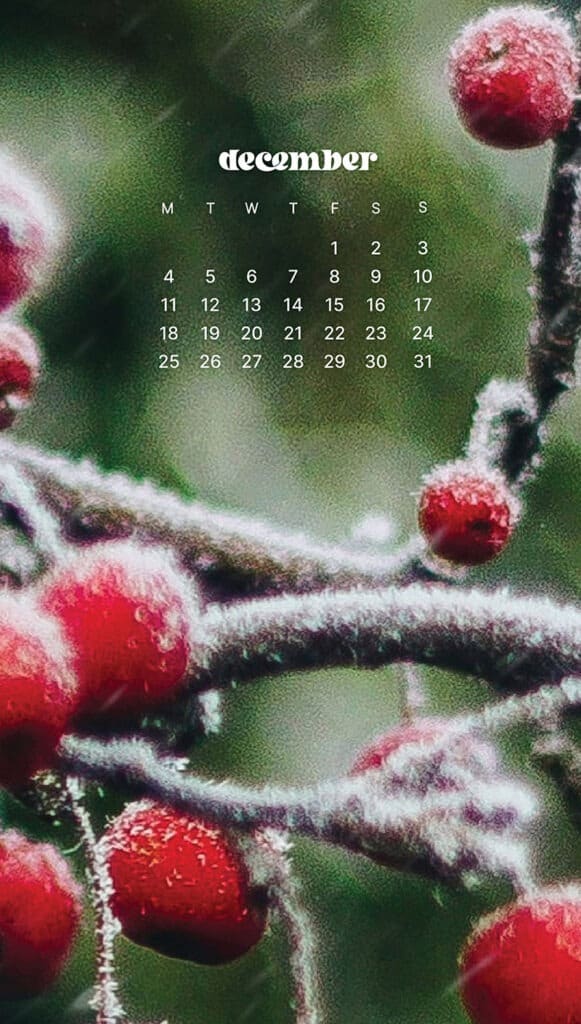 DECEMBER 2023 WALLPAPERS – 96 FREE PHONE &#038; DESKTOP CALENDARS!, Oh So Lovely Blog