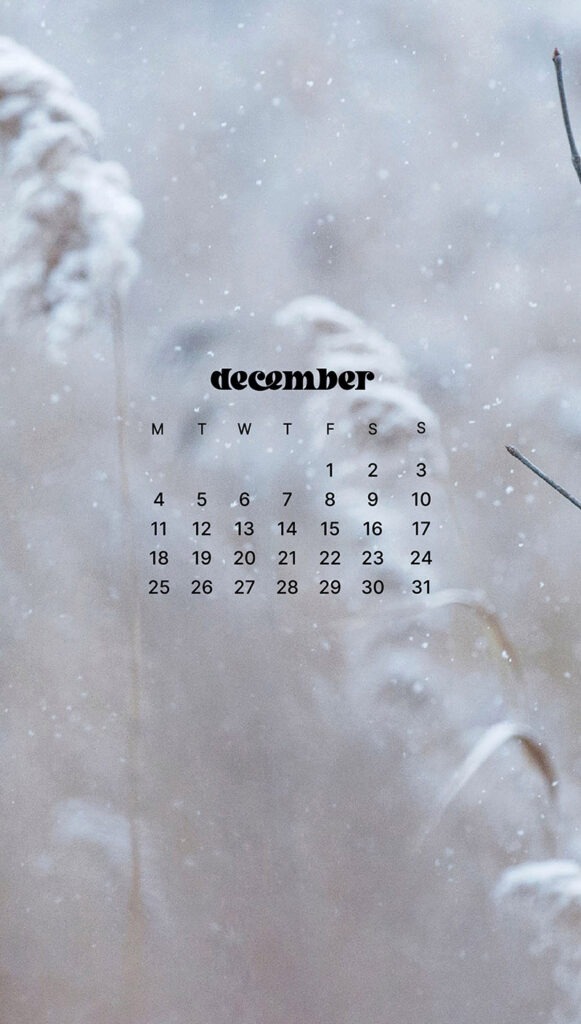 DECEMBER 2023 WALLPAPERS – 96 FREE PHONE &#038; DESKTOP CALENDARS!, Oh So Lovely Blog