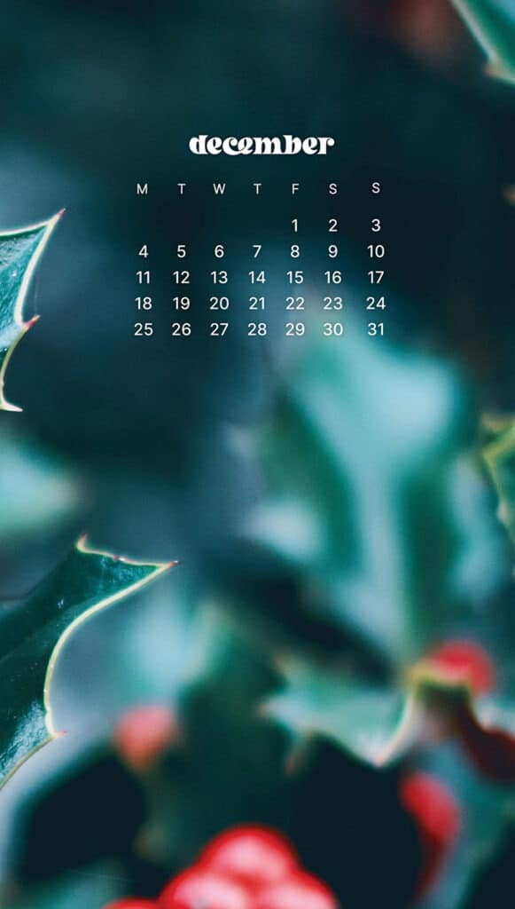 DECEMBER 2023 WALLPAPERS – 96 FREE PHONE &#038; DESKTOP CALENDARS!, Oh So Lovely Blog