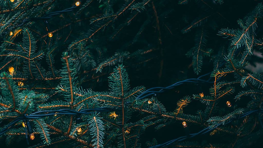 DECEMBER 2023 WALLPAPERS – 96 FREE PHONE &#038; DESKTOP CALENDARS!, Oh So Lovely Blog