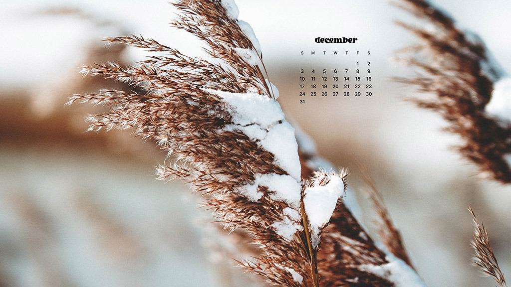 DECEMBER 2023 WALLPAPERS – 96 FREE PHONE &#038; DESKTOP CALENDARS!, Oh So Lovely Blog