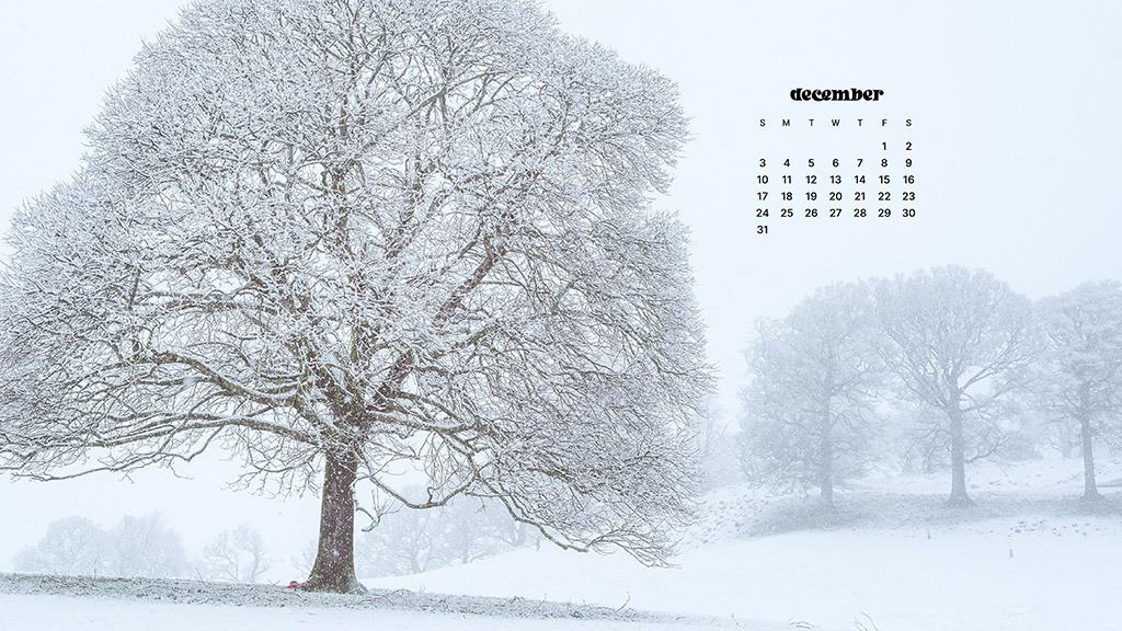 DECEMBER 2023 WALLPAPERS – 96 FREE PHONE &#038; DESKTOP CALENDARS!, Oh So Lovely Blog