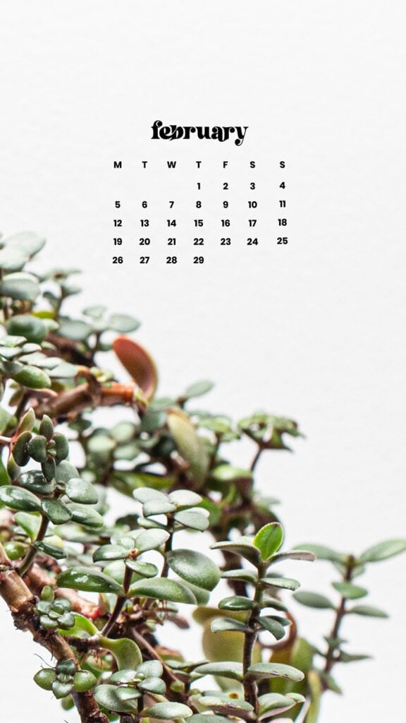 FEBRUARY 2024 WALLPAPERS – 60 FREE PHONE &#038; DESKTOP CALENDARS!, Oh So Lovely Blog