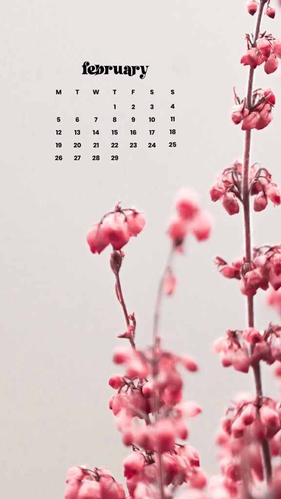 FEBRUARY 2024 WALLPAPERS – 60 FREE PHONE &#038; DESKTOP CALENDARS!, Oh So Lovely Blog