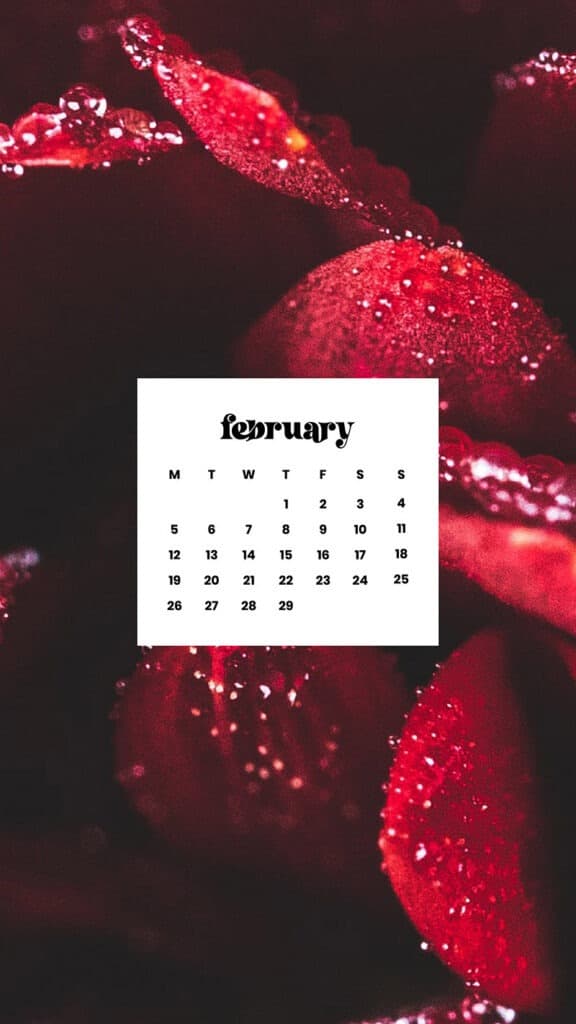 FEBRUARY 2024 WALLPAPERS – 60 FREE PHONE &#038; DESKTOP CALENDARS!, Oh So Lovely Blog