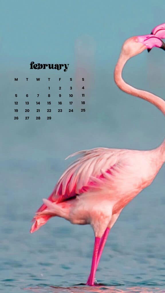 FEBRUARY 2024 WALLPAPERS – 60 FREE PHONE &#038; DESKTOP CALENDARS!, Oh So Lovely Blog