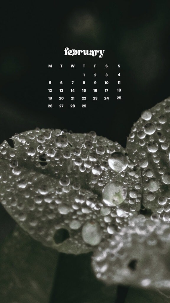 FEBRUARY 2024 WALLPAPERS – 60 FREE PHONE &#038; DESKTOP CALENDARS!, Oh So Lovely Blog