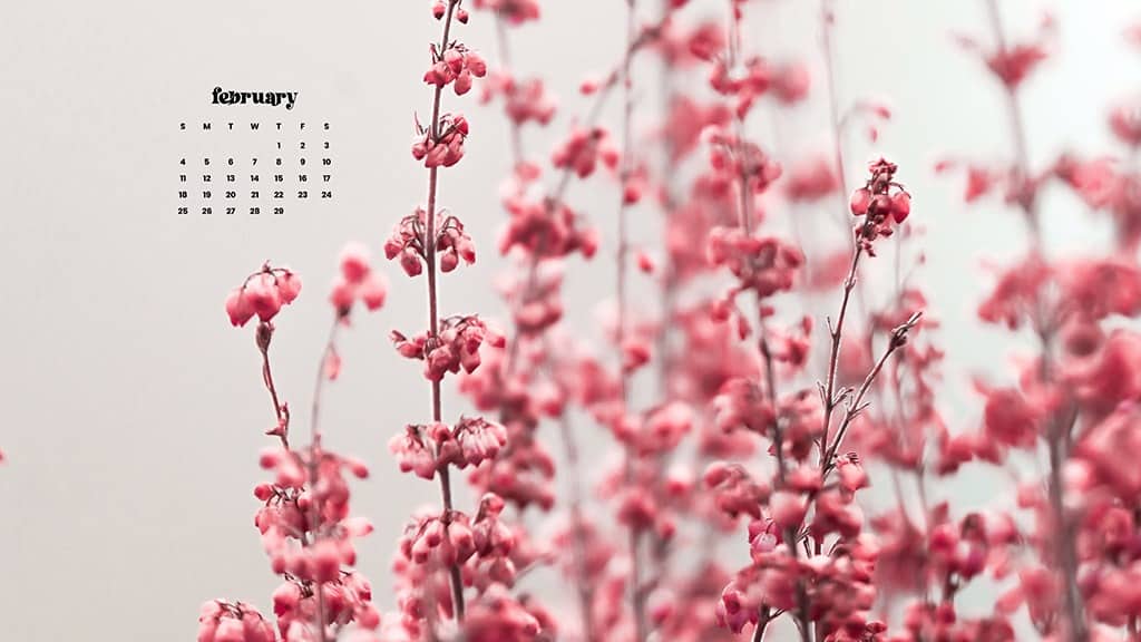 FEBRUARY 2024 WALLPAPERS – 60 FREE PHONE &#038; DESKTOP CALENDARS!, Oh So Lovely Blog