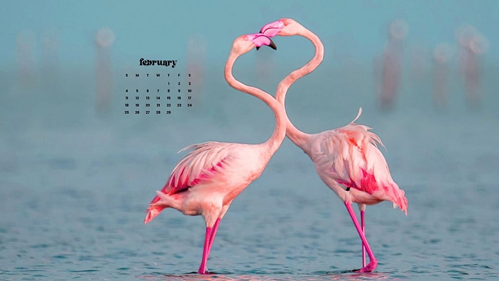 FEBRUARY 2024 WALLPAPERS – 60 FREE PHONE &#038; DESKTOP CALENDARS!, Oh So Lovely Blog