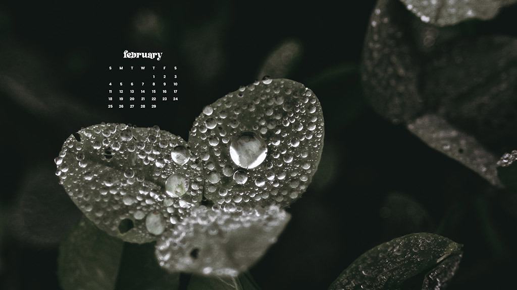 FEBRUARY 2024 WALLPAPERS – 60 FREE PHONE &#038; DESKTOP CALENDARS!, Oh So Lovely Blog