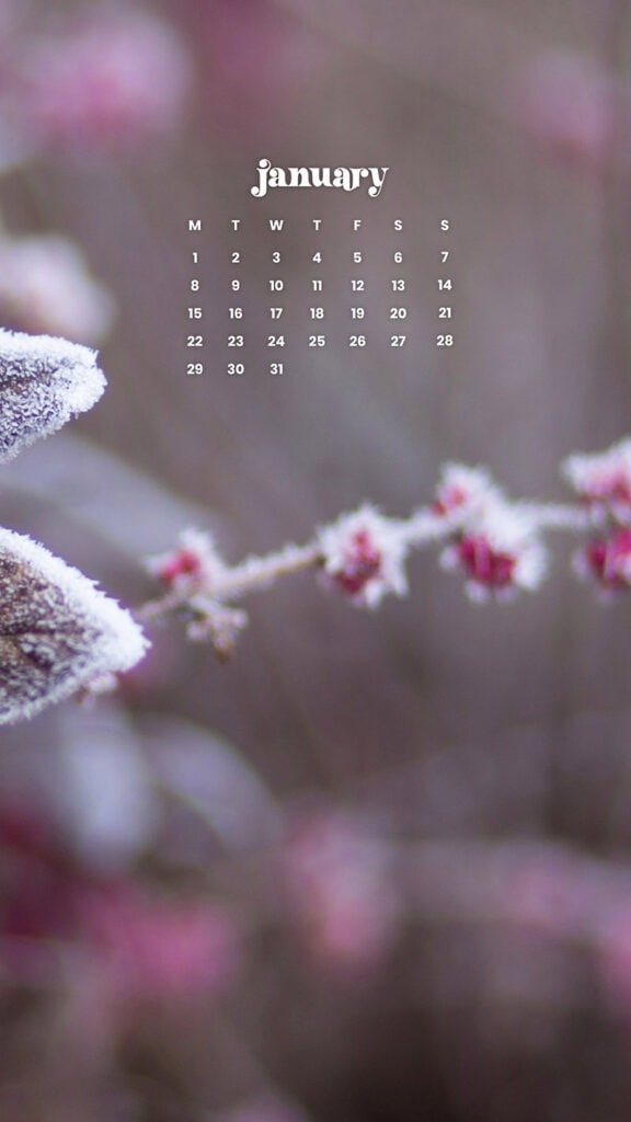 JANUARY 2024 – 60 FREE PHONE &#038; DESKTOP CALENDARS!, Oh So Lovely Blog