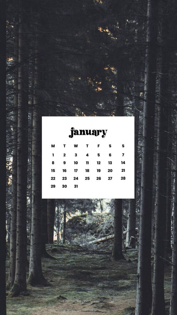 JANUARY 2024 – 60 FREE PHONE &#038; DESKTOP CALENDARS!, Oh So Lovely Blog