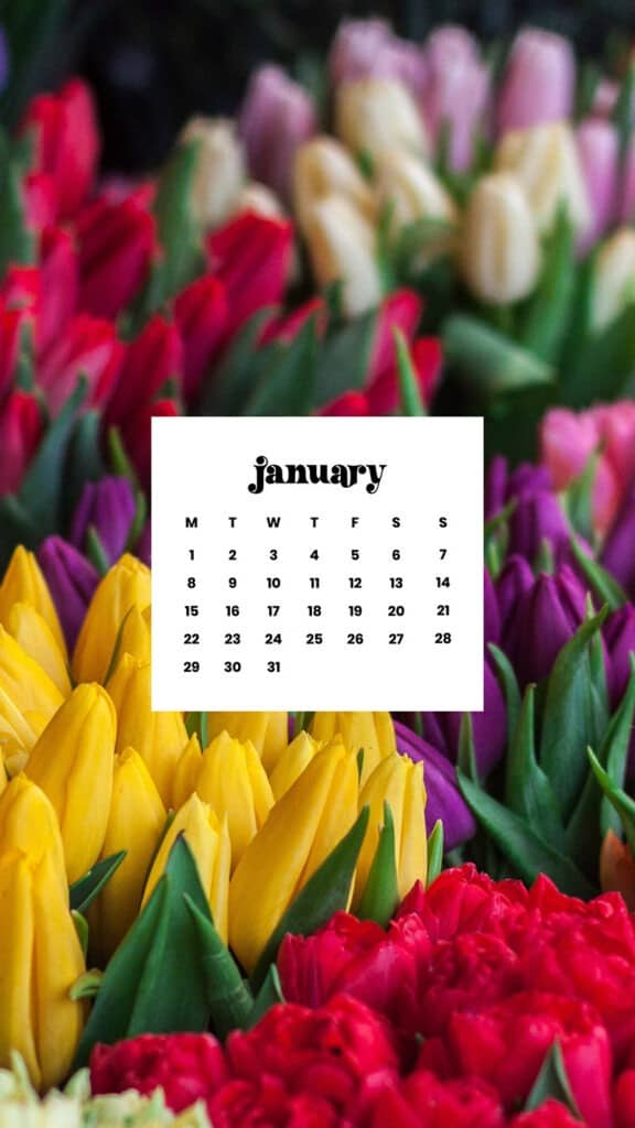 JANUARY 2024 – 60 FREE PHONE &#038; DESKTOP CALENDARS!, Oh So Lovely Blog