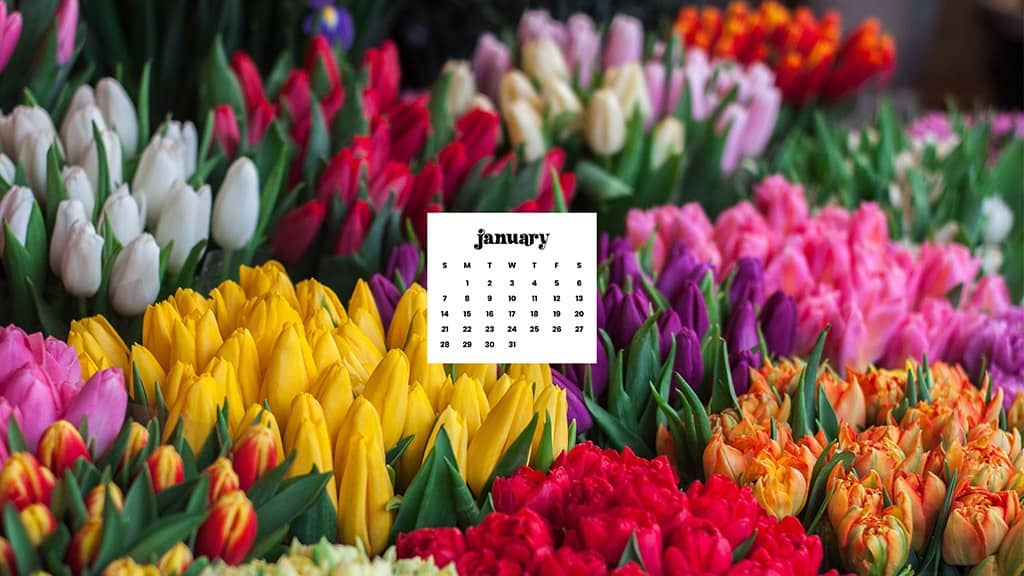 JANUARY 2024 – 60 FREE PHONE &#038; DESKTOP CALENDARS!, Oh So Lovely Blog