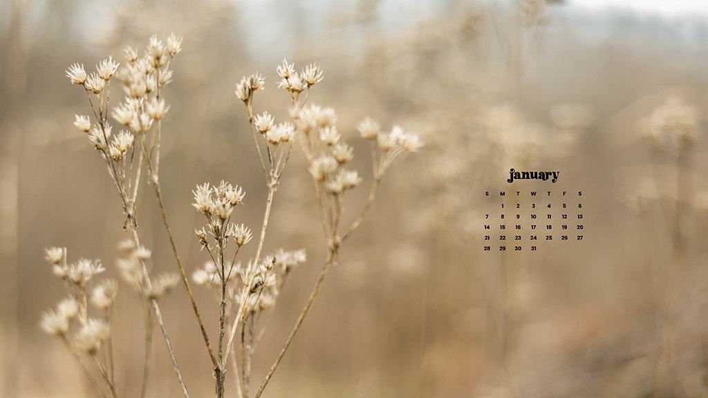 JANUARY 2024 – 60 FREE PHONE &#038; DESKTOP CALENDARS!, Oh So Lovely Blog